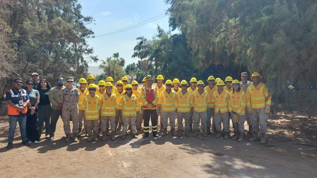 Ejército y CONAF unidos contra los incendios forestales Portal Agro Chile