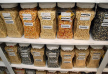 Los “guardianes” de las semillas de América se pondrán a la vanguardia en materia de bancos de germoplasma semillas