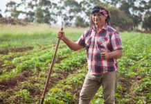 Proyecto Manejo Integrado de Plagas Biointensivo potenciará hortofruticultura Rapa Nui