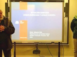 SAG y Federación Apícola Nacional dictan Charlas de Loque Americana en principales regiones de Chile