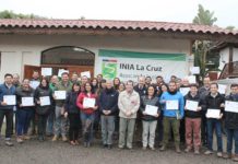 Extensionistas mejoran manejo técnico de especies hortícolas y frutales gracias a capacitación del convenio INIA-INDAP