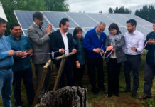 Energía solar para productores de berries del Ranco