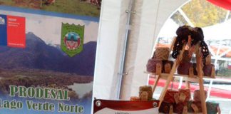 Expo Mujer Rural 2019