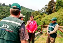 Reserva Nonguén recibirá ejemplares de fauna silvestre afectados por incendios forestales SAG