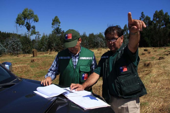 Operación Temprana 2020 SAG