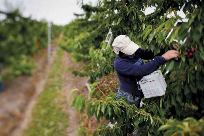 estrategias de apoyo a agricultores