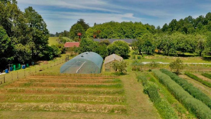 LA PANDEMIA DEL COVID-19 Y LA AGROECOLOGÍA