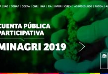 Cuenta Pública Participativa 2019 - MINAGRI