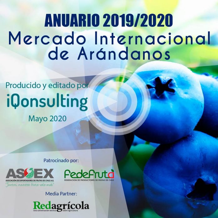 Mercado Internacional Arándanos