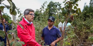 APOYO A LA PEQUEÑA AGRICULTURA