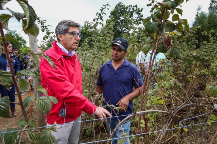 APOYO A LA PEQUEÑA AGRICULTURA