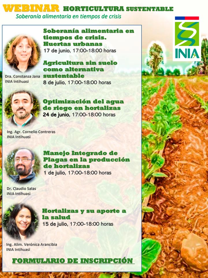 Un huerto para tu terraza - Portal Agro Chile