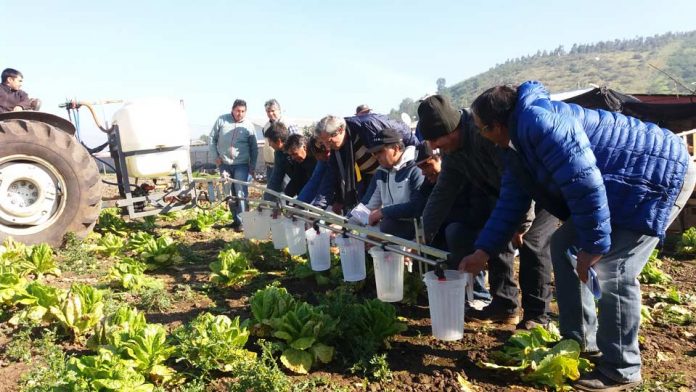 Las precipitaciones y malezas de invierno en huertos frutales