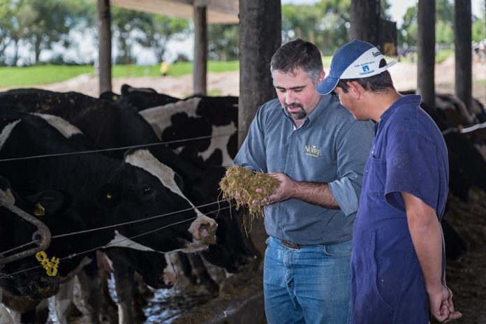 Experta de Agronomía UdeC explicará principales controles en la cadena productiva de productos de origen animal