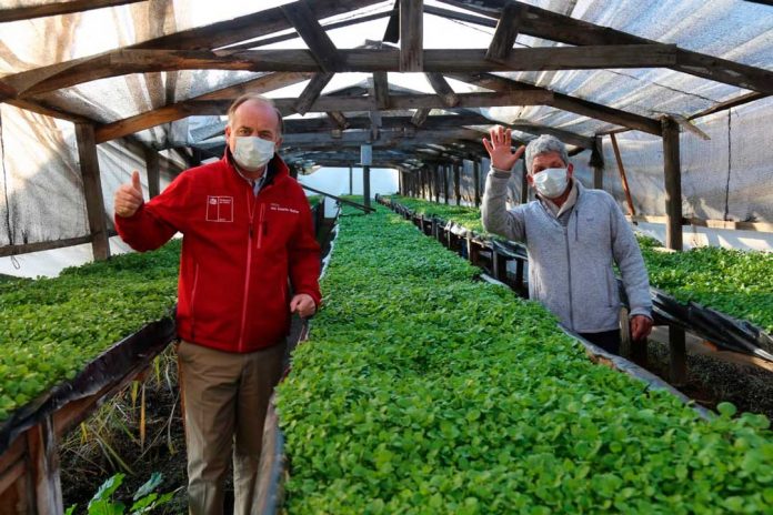 plan Paso a Paso en el agro