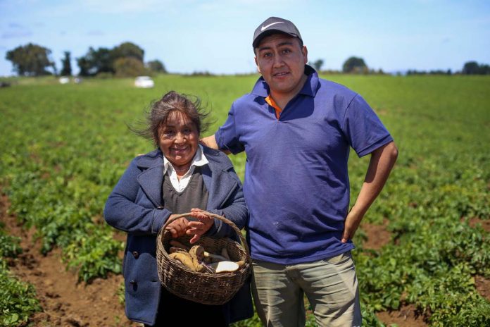 Alianzas Productivas de INDAP mantienen a más de 3.500 agricultores encadenados con los mercados