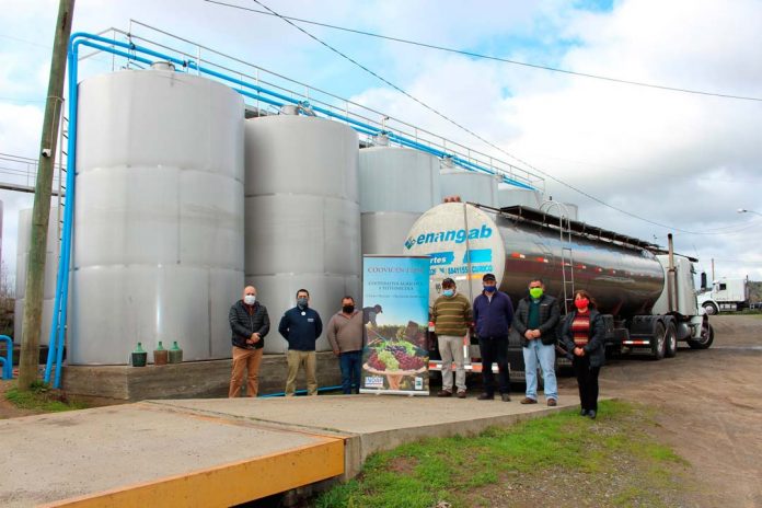 Cooperativa Vitivinícola COOVICEN de Quillón concretó venta de 110 mil litros de vino blanco a importantes bodegas de la zona central gracias al apoyo de INDAP