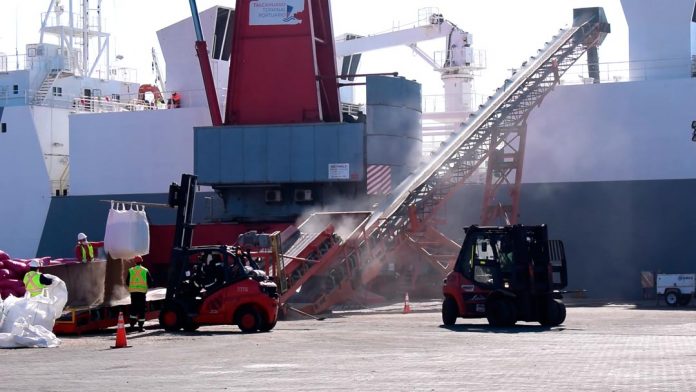 4-293-vaquillas-en-pie-se-exportan-a-china-desde-puerto-de-talcahuano