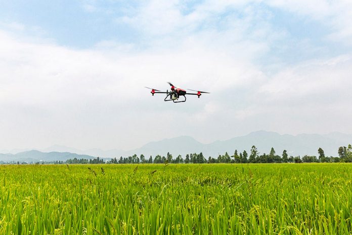 Cómo la tecnología en el agro ayuda a los pequeños pequeños agricultores a ser competitivos