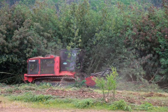 Máquina trituradora de material vegetal