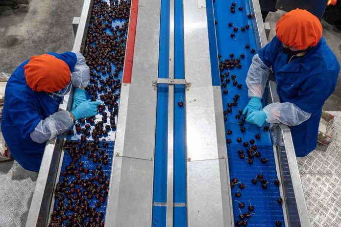 Operadores de Plantas de Embalaje Frutícola