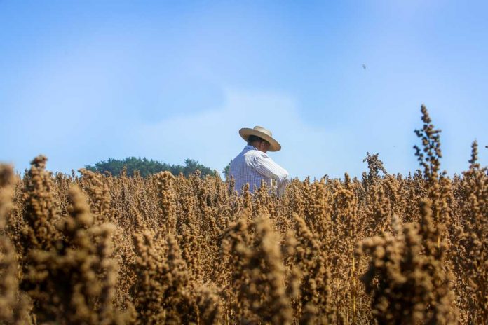 MEJORES OPORTUNIDADES PARA LOS MÁS POBRES DEL CAMPO: INDAP EXPUSO SU ESTRATEGIA EN CUMBRE DE ALCALDES RURALES