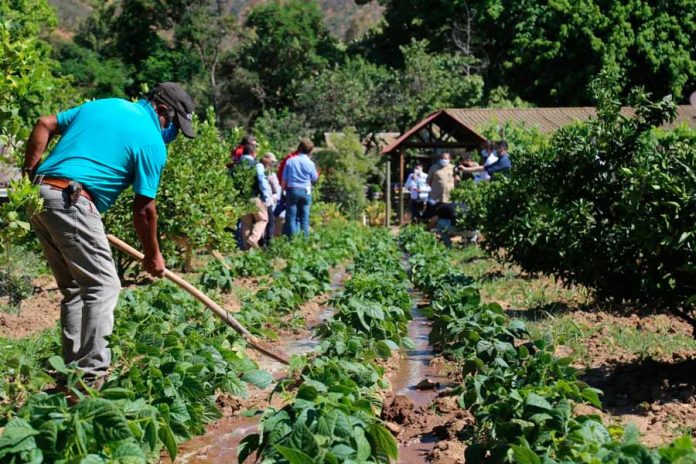 Ministro Walker hace un llamado a no especular con los precios debido al derrumbe en el Canal Las Mercedes