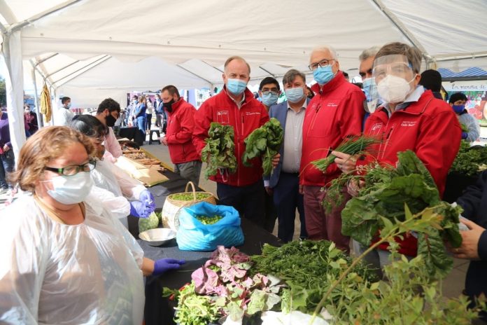 Patrimonio Agrícola Mundial: Sello SIPAM en Chiloé