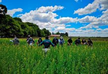 SAG Biobío realiza taller práctico a empresas productoras de semillas