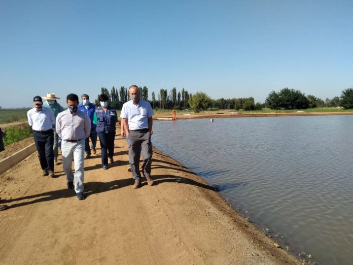 CNR y Gore Maule inauguran obras de riego en Colbún y Longaví