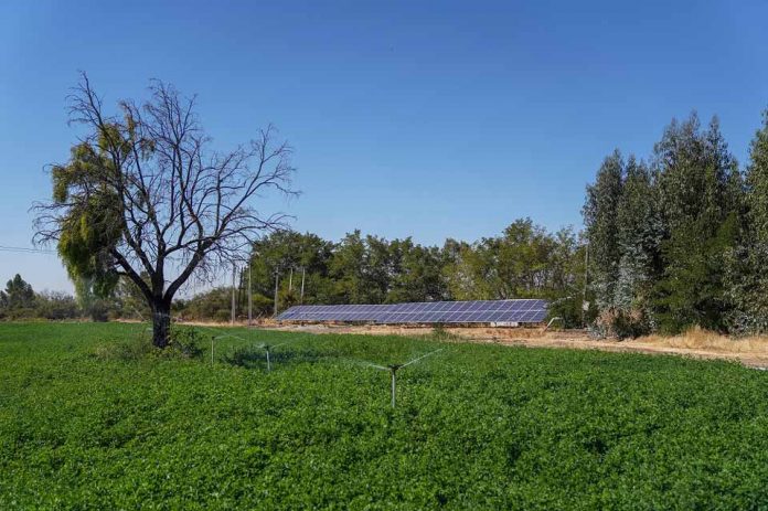 INDAP ABORDA DESAFÍOS 2021 EN RIEGO PARA LA PEQUEÑA AGRICULTURA