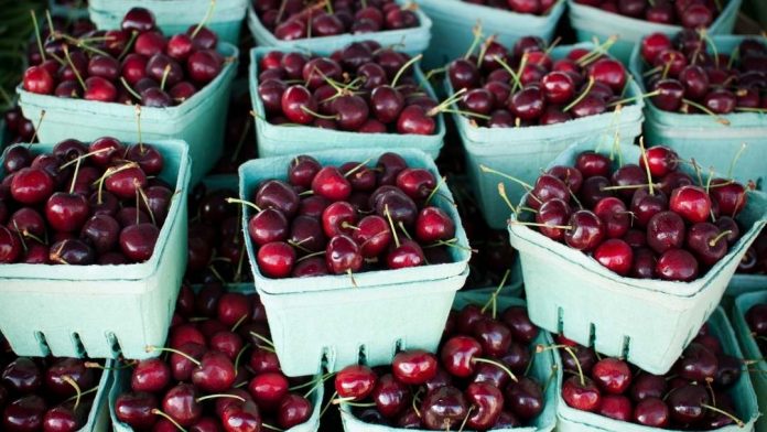 ASOEX Situación de las Cerezas Casa Vez Más Complicada en China