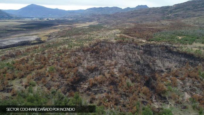 SAG hace un llamado a la comunidad extremar medidas de prevención para evitar incendios forestales