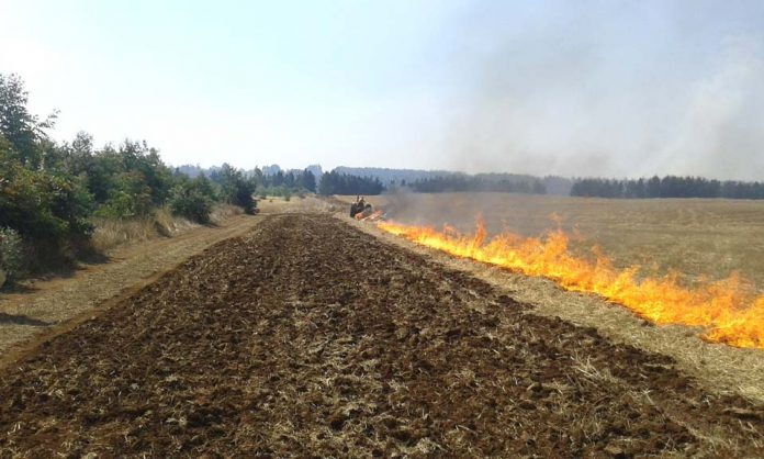 CONAF hace llamado a agricultores a no hacer uso del fuego sin antes registrar sus avisos de quema