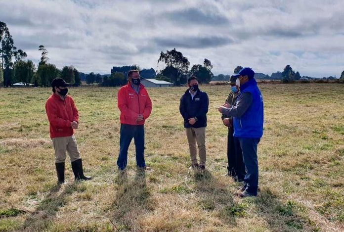 Déficit hídrico: Minagri adelanta entrega de apoyos para la pequeña agricultura