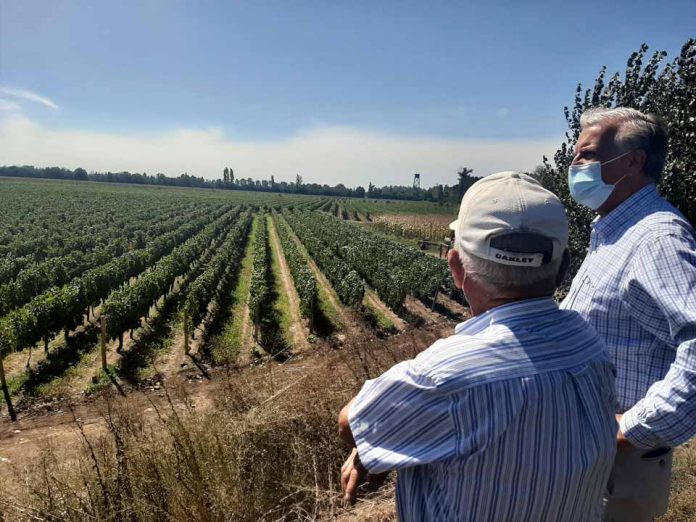 $450 millones se destinan para proyectos de innovación en adaptación al cambio climático y eficiencia hídrica en O’Higgins