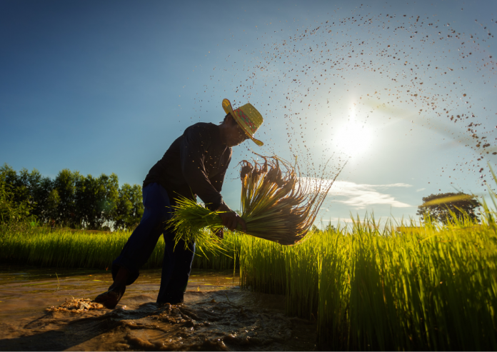 INIA La Platina capacita a agricultores de la región Metropolitana sobre los microorganismos y su aplicación en la agricultura