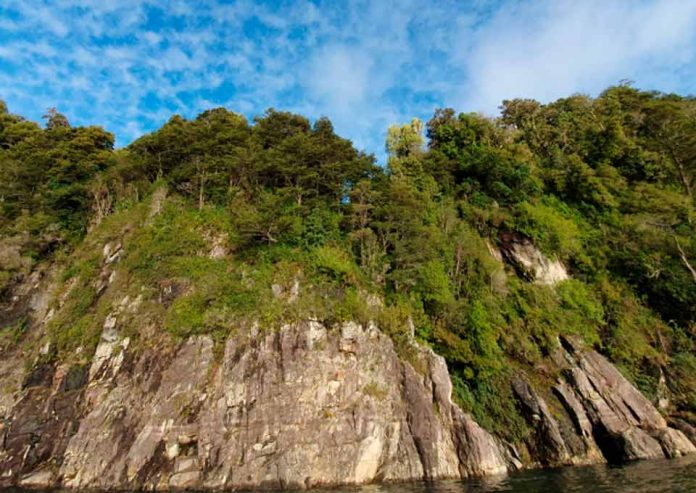 Fundación Tierra Austral logra el primer acuerdo corporativo para la conservación de tierras en Chile