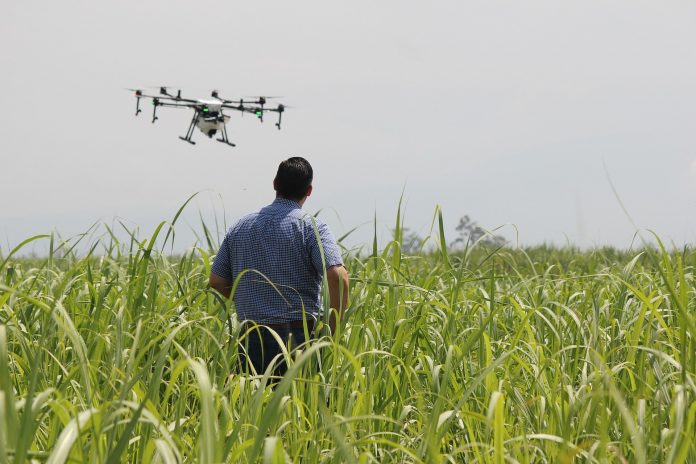 Abren postulaciones para “Agro del Futuro” 