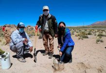 En el Día Internacional de la Tierra la Ministra de Agricultura visita el extremo norte de Chile para abordar en terreno las brechas y oportunidades en materia de desarrollo rural