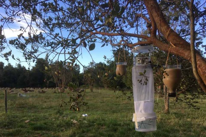 Lengua Azul: SAG realiza vigilancia de enfermedad en animales provocada por insectos vectores