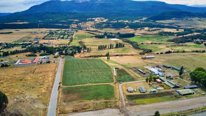 SAG, INIA y Liceo Bicentenario Agrícola de la Patagonia realizaron ensayo de variedades de papa