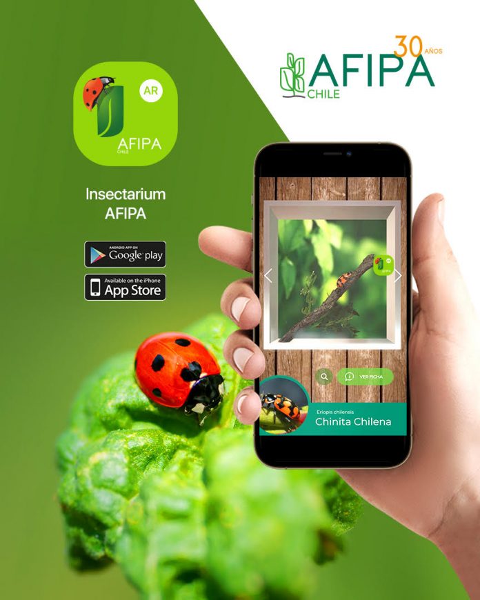 Nueva App te permite reconocer insectos y visualizar en detalle algunos que solo podrías ver con lupa 