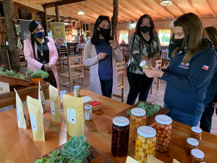 INDAP ARAUCANÍA ABRIÓ CONCURSO PARA AGRICULTORES, FINANCIAR PROYECTOS PRODUCTIVOS ASOCIATIVOS