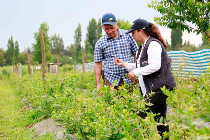 CONVOCAN A PROFESIONALES DEL AGRO COMO AGENTES PROMOTORES DEL IFE UNIVERSAL EN EL MUNDO RURAL