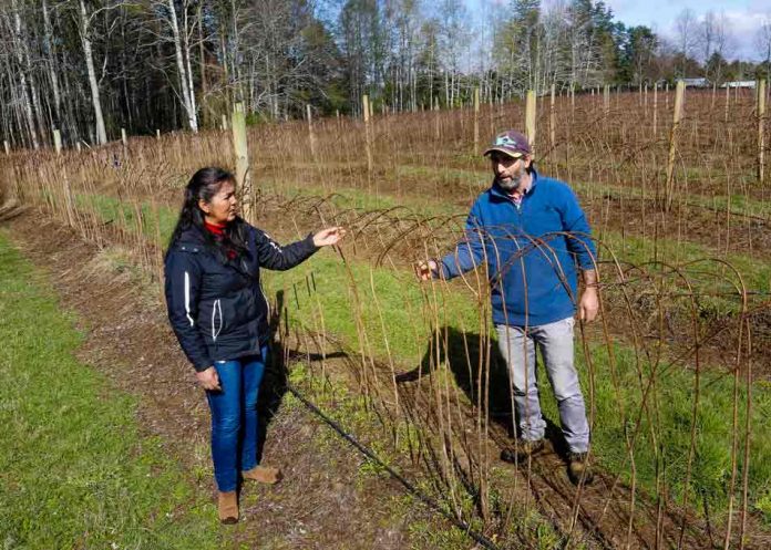 DIVERSIFICACIÓN Y MAYOR EFICIENCIA EN RIEGO DESTACAN COMO ACCIONES ANTE EL CAMBIO CLIMÁTICO EN TALLER CON PRODUCTORES EN LA ARAUCANÍA