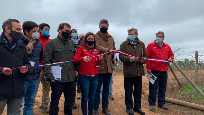 Ministra Undurraga en lanzamiento de Consorcio Vinos de Chile: “Creemos profundamente que la relación entre el mundo público, privado y la academia es fundamental para enfrentar los desafíos del futuro”