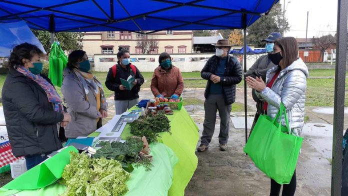 Instalan “Mercado Simulado” en Río Bueno para diferenciar productos hortícolas agroecológicos