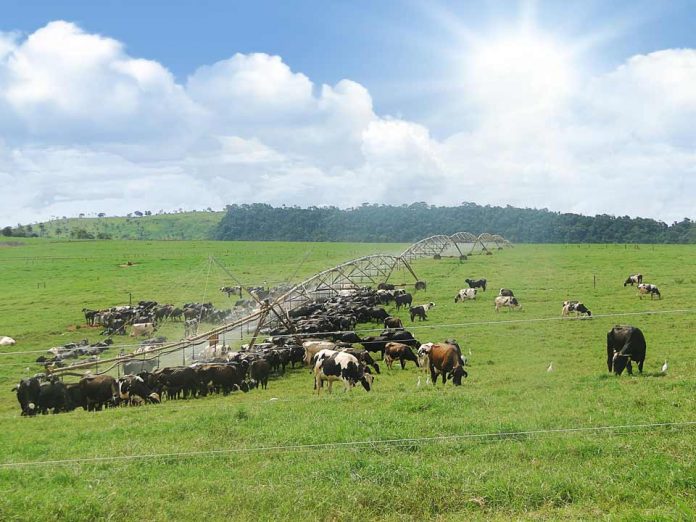 Tecnología revolucionaria marca la nueva generación de la agricultura de riego