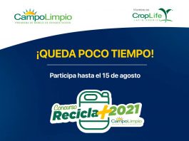Concurso “Recicla Más Campo Limpio 2021” premiará a agricultores y empresas agrícolas desde Arica a Coyhaique, que promueven el cuidado del medioambiente y la salud de las personas